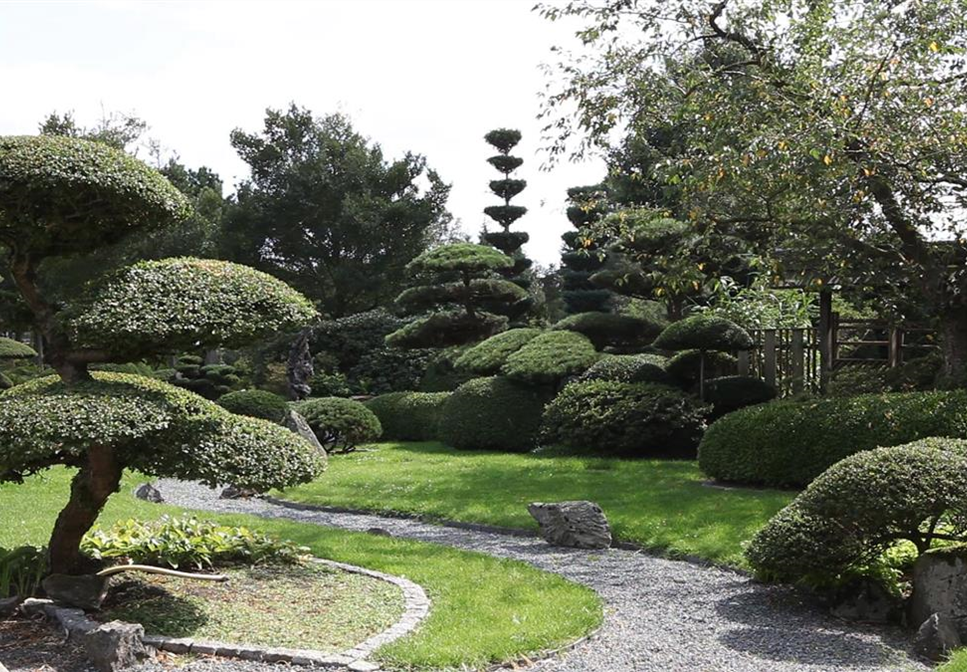 Gartengestaltung - Japangarten