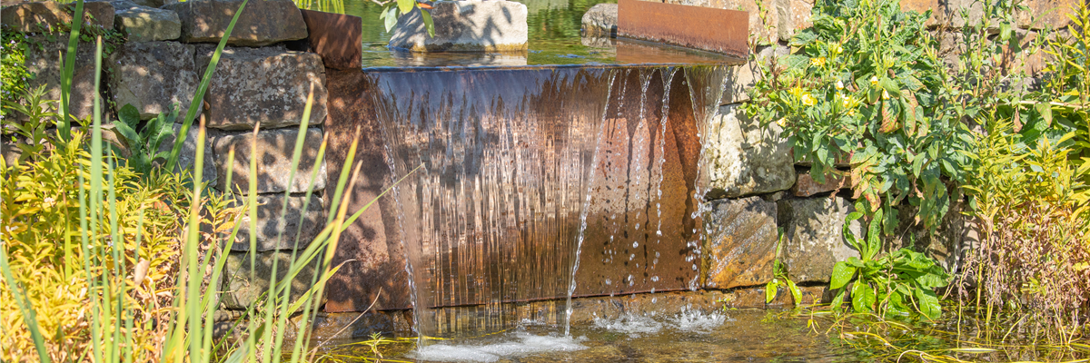WASSERPFLANZEN FüR DEN GARTENTEICH Gärtnerei Schliebener