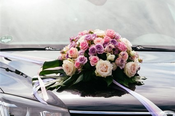 Autoschmuck Rosalila