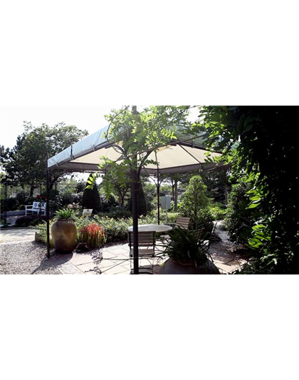Gartengestaltung - Mediterraner Garten
