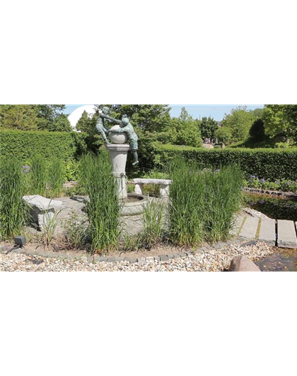Gartengestaltung - Wasser- und Skulpturengarten
