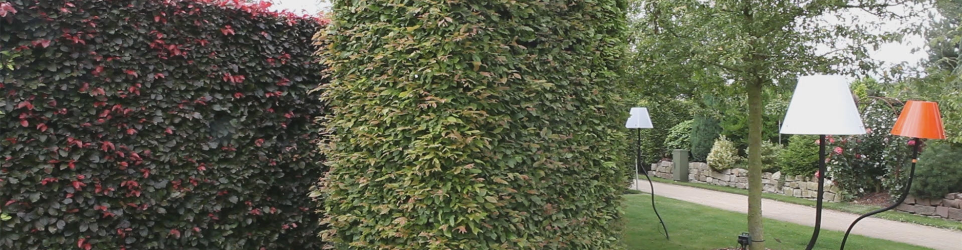 Pflanzbeispiel - Heckenrondell (thumbnail)