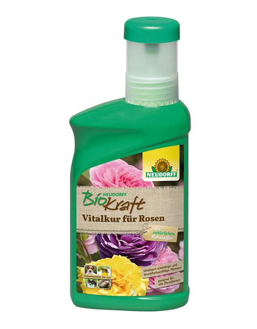 BioKraft Vitalkur Rosen AF