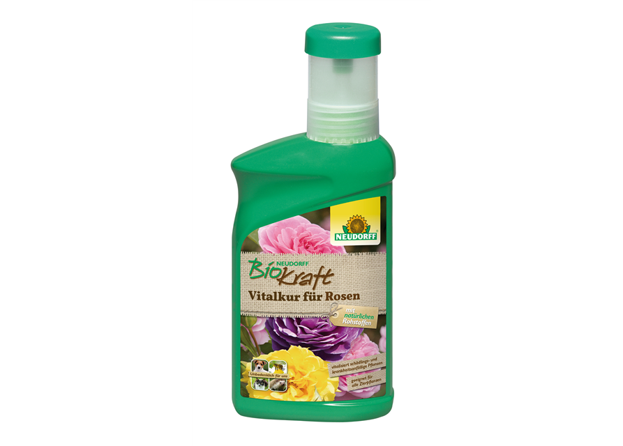 BioKraft Vitalkur Rosen AF