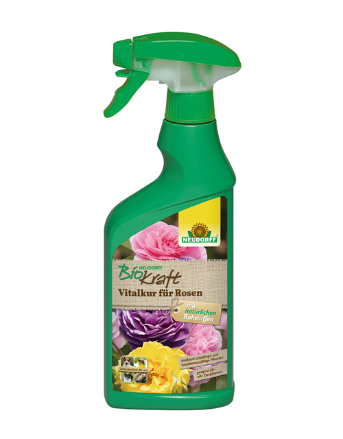 BioKraft Vitalkur Rosen AF