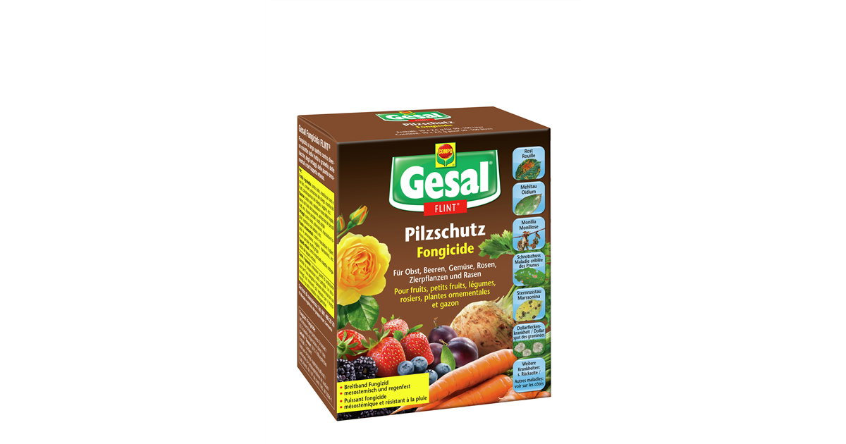 senf saatgut bio Senf Bio-Keimsaat, 125 g – Eschenfelder main image 0