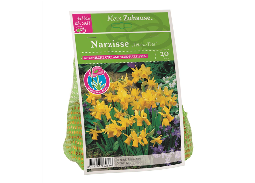Narzis Tete da tete x20 12/+