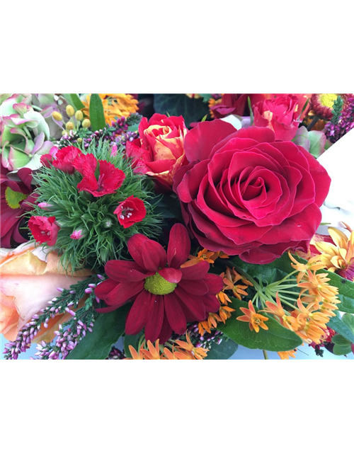 Trauerkranz Biolit Nr. 2 Trauerkranz Biolit Nr. 2