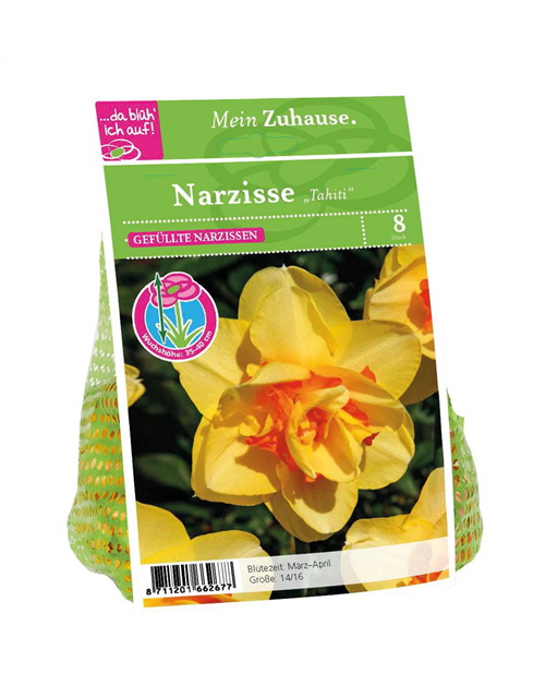 Narcissus Tahiti x8 14/16