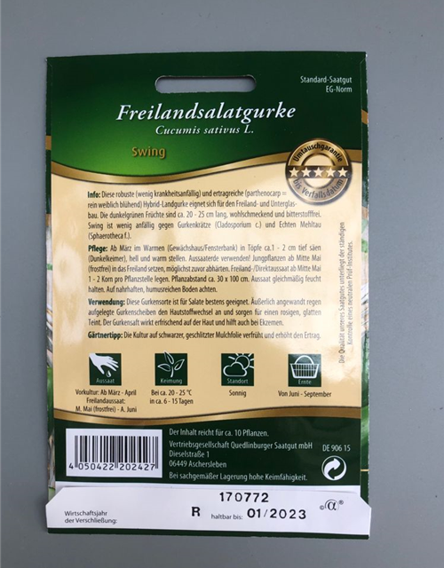 Freilandsalatgurke Swing