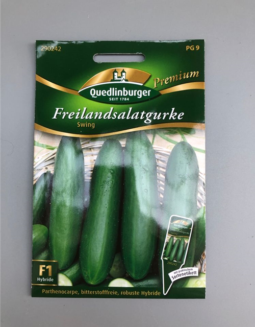 Freilandsalatgurke Swing