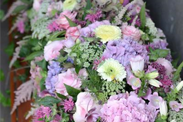 Sarggelege Nr. 6 Rosa