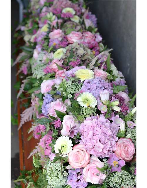 Sarggelege Nr. 6 Rosa Sarggelege Nr. 6 Rosa