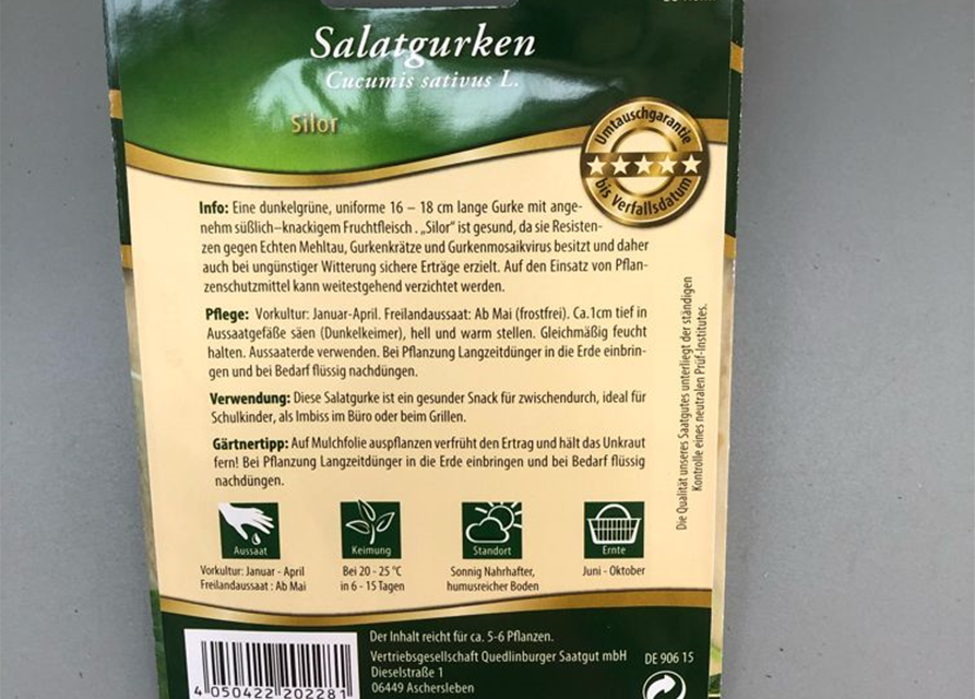 Freilandsalatgurke Silor