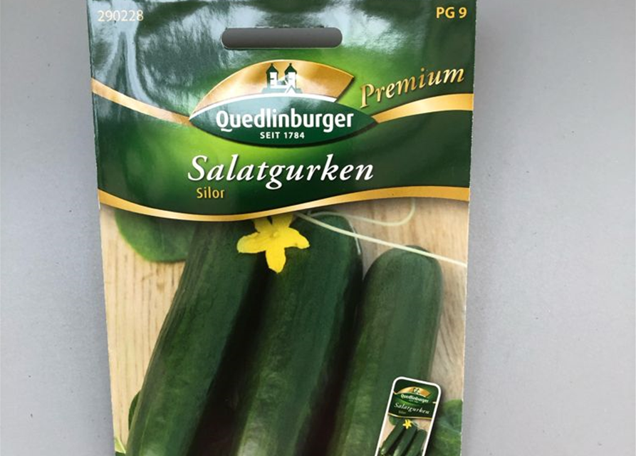 Freilandsalatgurke Silor