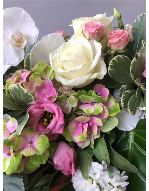 Sarggelege Nr. 11 Rosa/Weiß