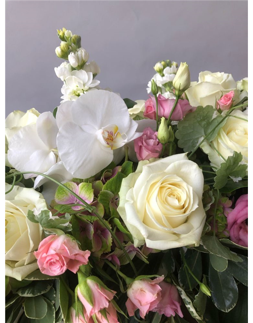 Sarggelege Nr. 11 Rosa/Weiß