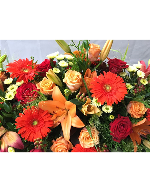 Sarggelege Nr. 12 Rot/ Orange