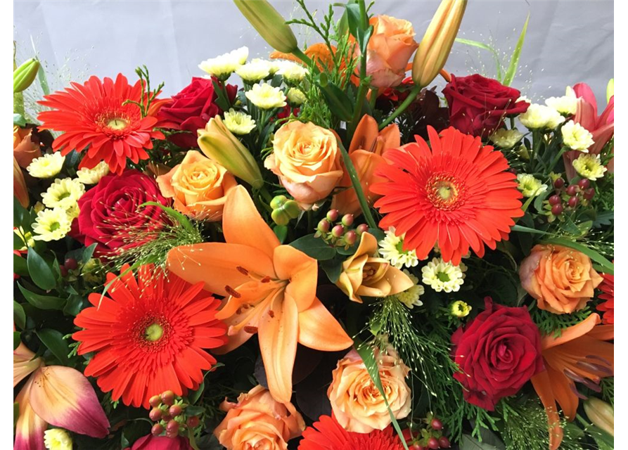 Sarggelege Nr. 12 Rot/ Orange