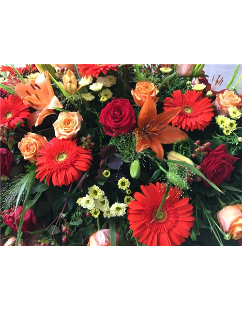 Sarggelege Nr. 12 Rot/ Orange