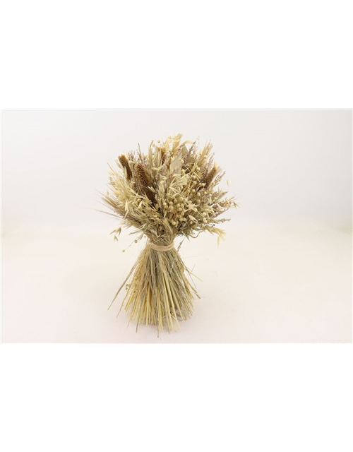 Schafgarbe Ø 18 cm Höhe 30 cm
