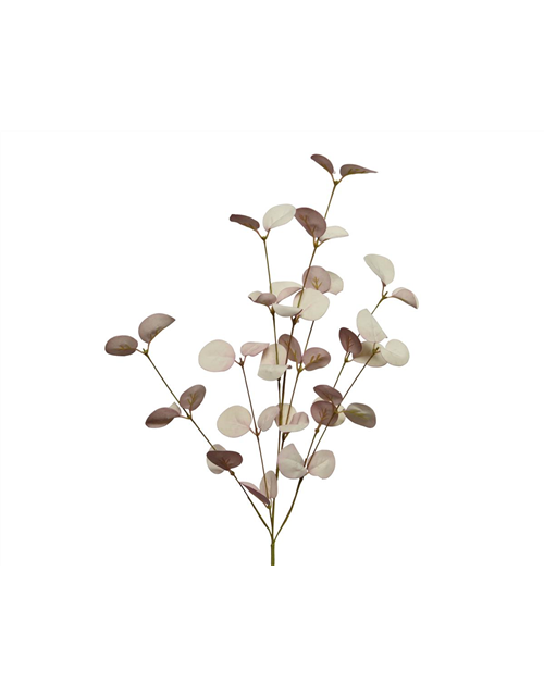 Eukalyptus Zweig rosa