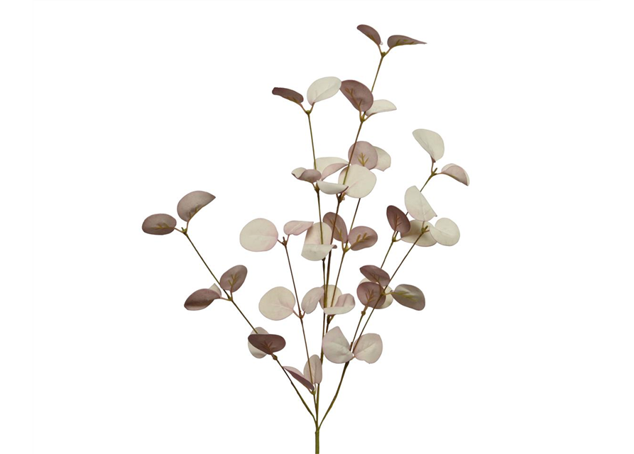 Eukalyptus Zweig rosa