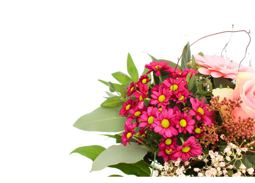 Strauß Girlie Strauß Girlie