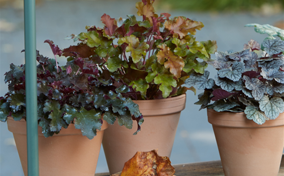 Saisonerlebnis - Ideen für drinnen und draußen