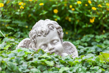 SCHöNER HERBSTLICHER GRABSCHMUCK! SCHöNER HERBSTLICHER GRABSCHMUCK!