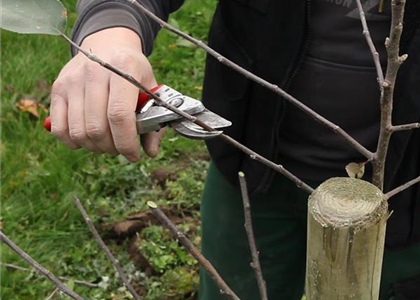 OKTOBER - JETZT GIBT ES NOCH MAL VIEL ZU TUN!
