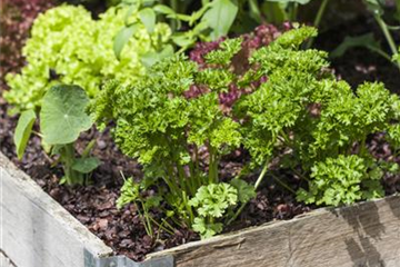 DAS DIY-HOCHBEET! DAS DIY-HOCHBEET!