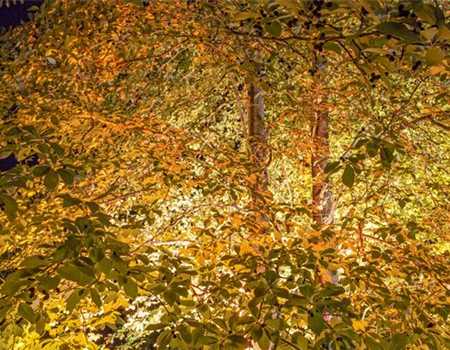 LICHTQUELLEN MACHEN DEN GARTEN SCHöNER!