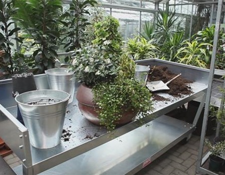 Blumenkübel - Dauerhafte Bepflanzung