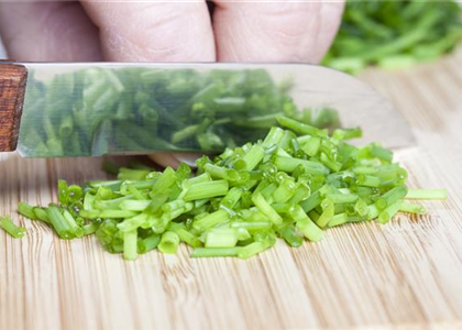 WAS WÄRE DER KRÄUTERGARTEN OHNE FRISCHE KRÄUTER?