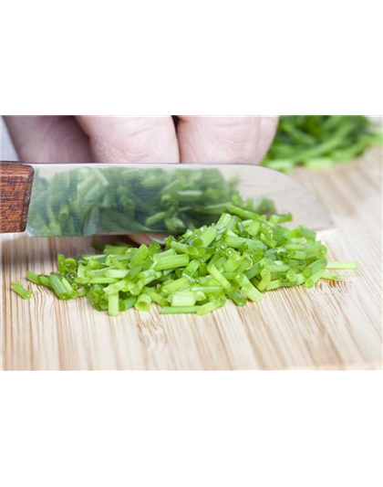 WAS WÄRE DER KRÄUTERGARTEN OHNE FRISCHE KRÄUTER?