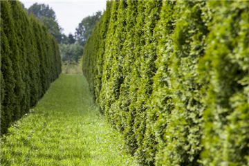 AUSGEHECKT! AUSGEHECKT!