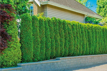 SCHICKE HECKE! SCHICKE HECKE!