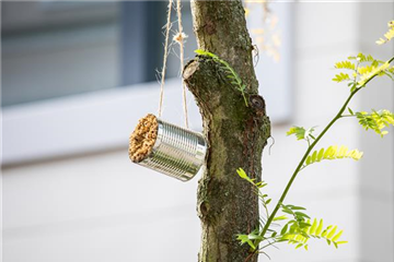 WIE GEHT... INSEKTENHOTEL?