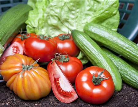 ALLES FÜR DEN BAUERNGARTEN