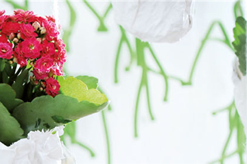 FüR DIE BESTE! FüR DIE BESTE!