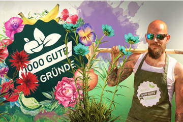 CHRISTROSEN PFLANZEN UND PFLEGEN