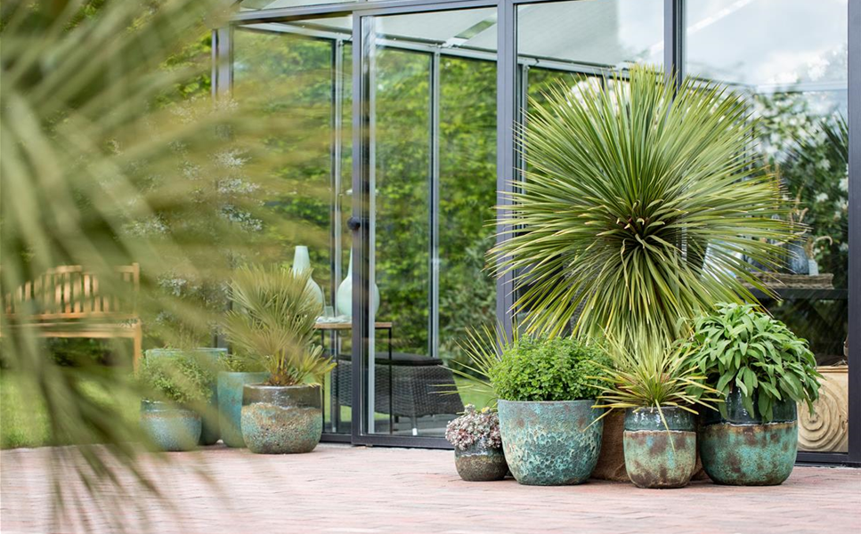 Pflanzideen - Besondere Arrangements Pflanzideen - Besondere Arrangements