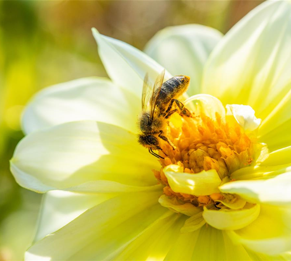 Schliebener's Newsletter - Jetzt kostenfrei anmelden! Schliebener's Newsletter - Jetzt kostenfrei anmelden!