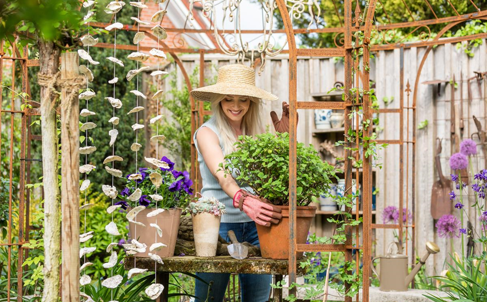 Für Hobbygärtner und Pflanzexperten - Bei uns seid ihr richtig!