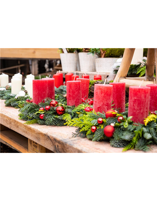 Floristik-Workshop Adventskranz 30.11.23