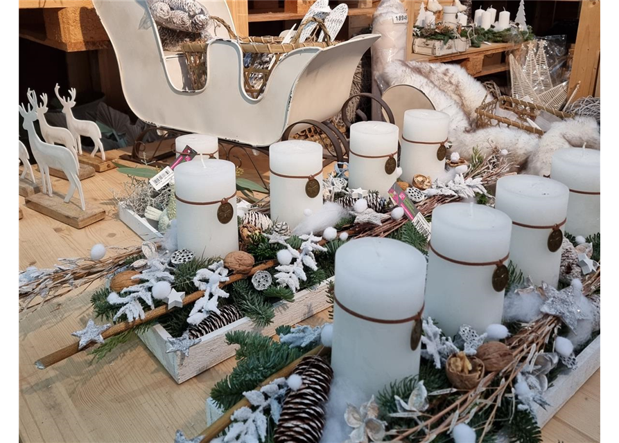Floristik-Workshop Advent, 1.12.2023
