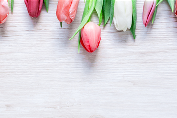 BLUMIGER VALENTINSTAG! BLUMIGER VALENTINSTAG!