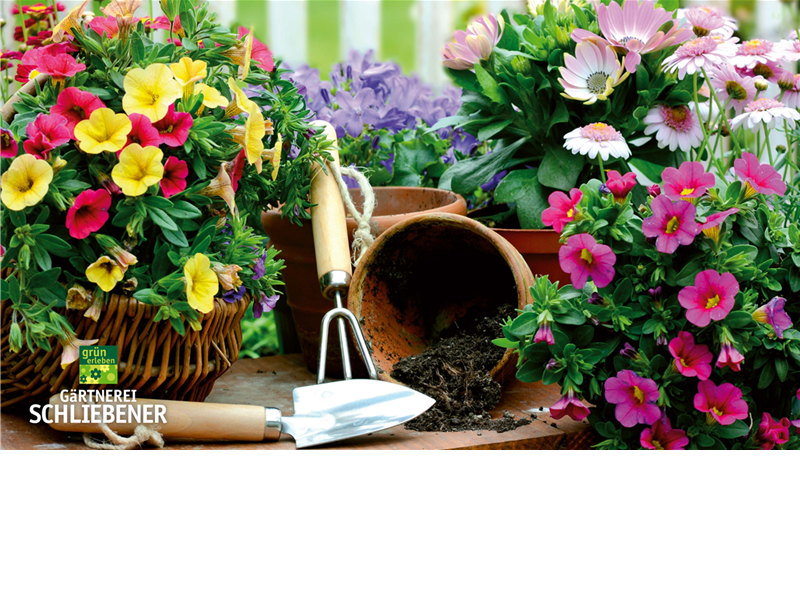 Große Saisoneröffnung 