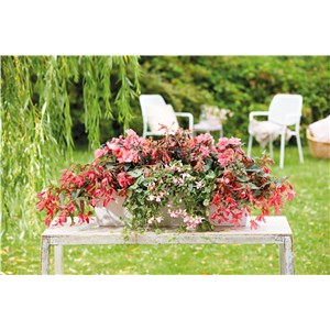 IM TREND: BALKON!